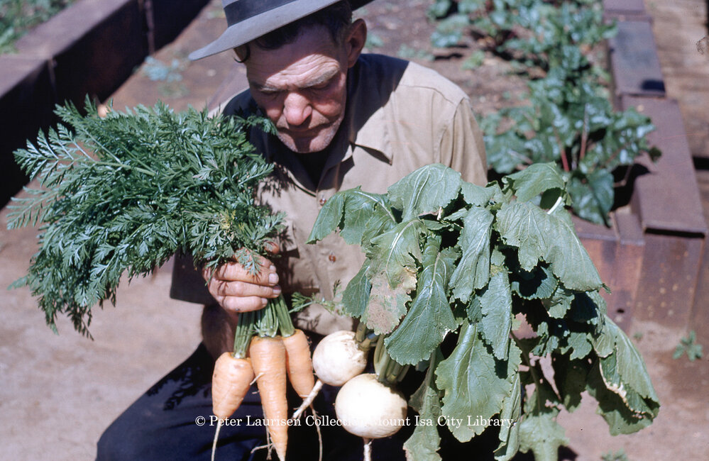 Home grown vegetables in Mount Isa, c.1954