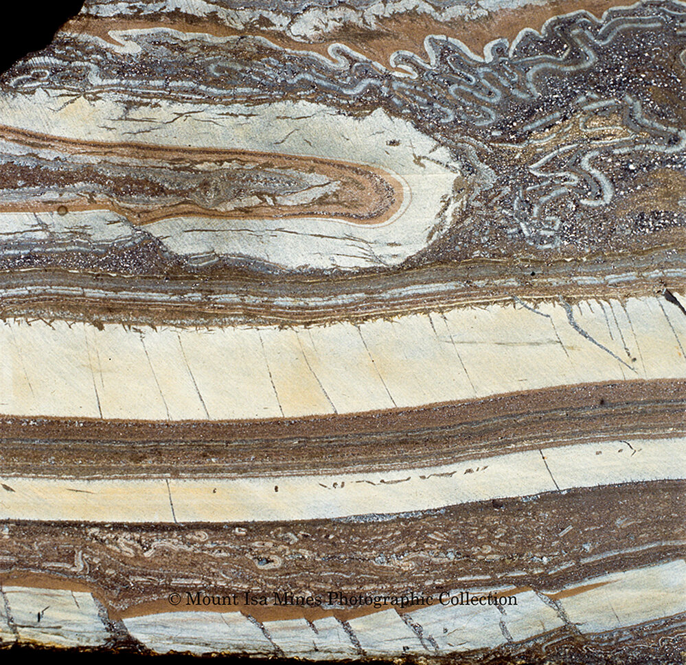 Sliced diamond drill core sample, Mount Isa Mines