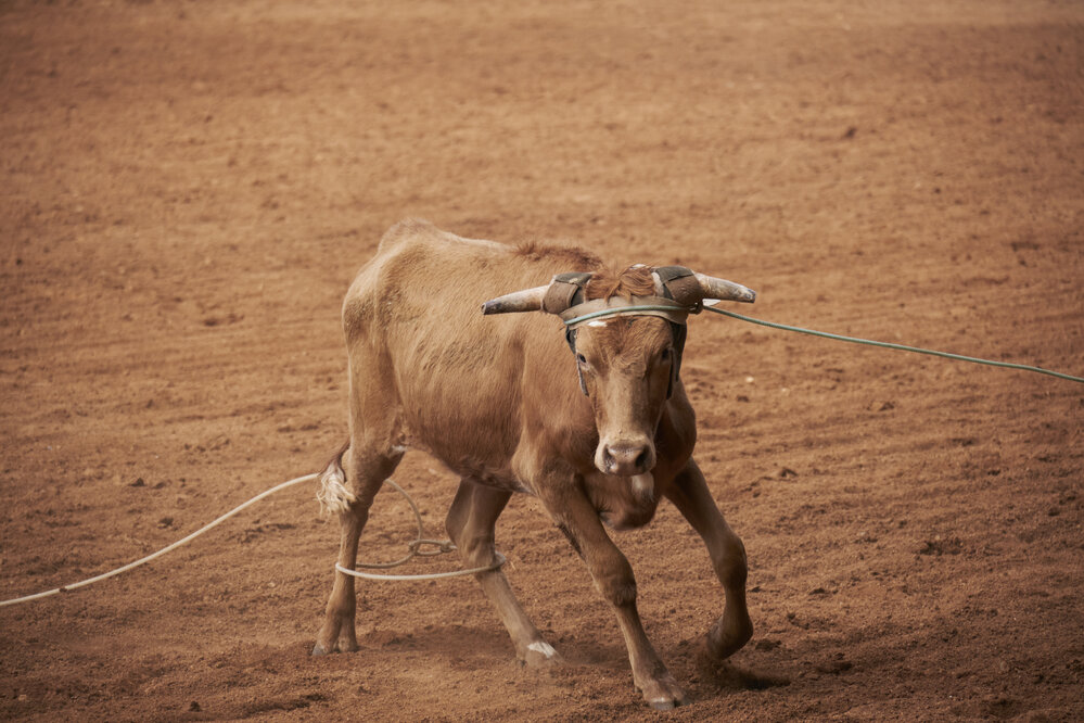 Road to Rodeo Mount Isa, May 2023