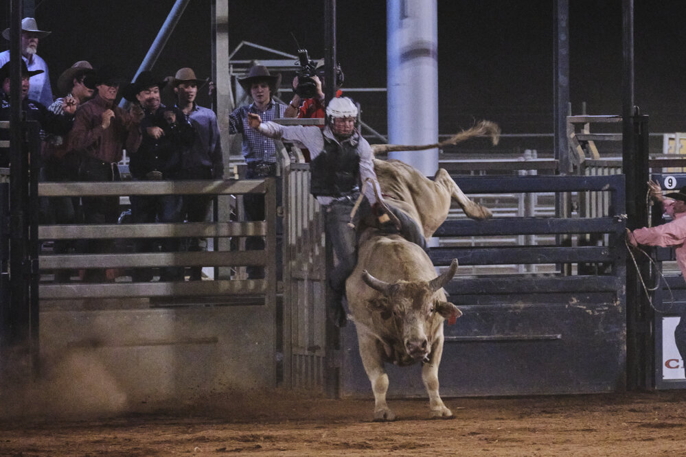 Bull Ride, Mount Isa Show, June 2023