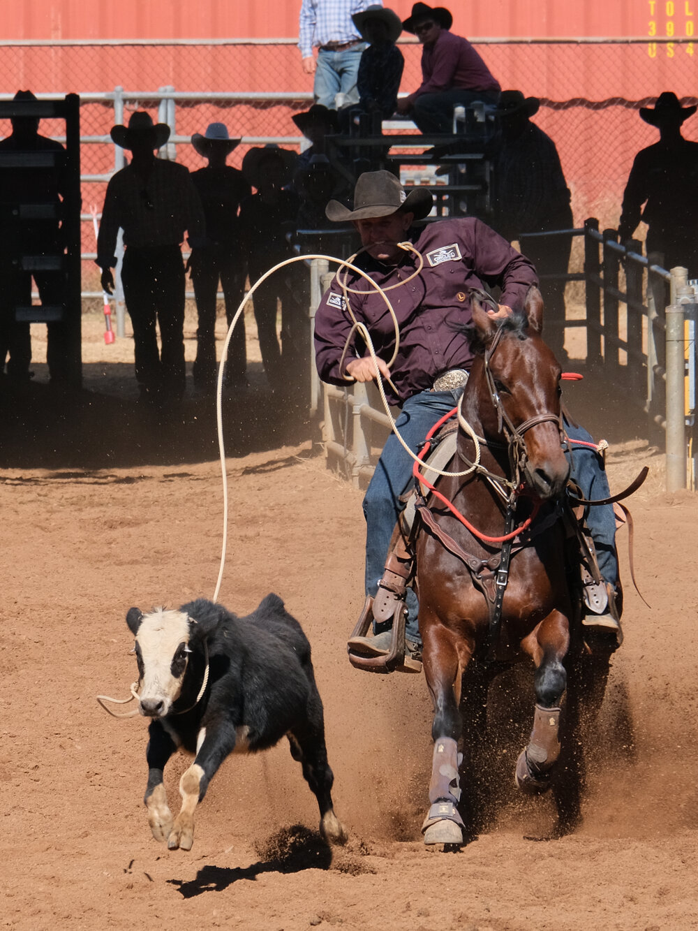 Rope &amp; Tie, Mount Isa Mines Rodeo, August 2023