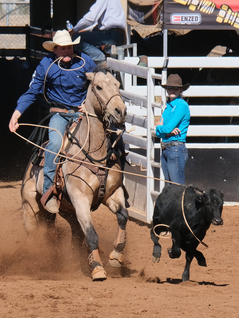 Rope &amp; Tie, Mount Isa Mines Rodeo, August 2023