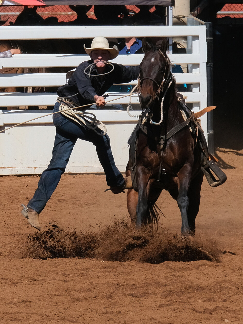Rope &amp; Tie, Mount Isa Mines Rodeo, August 2023