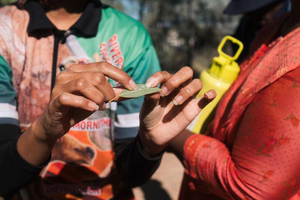 Bush tucker tour, Outback at Isa, August 2024