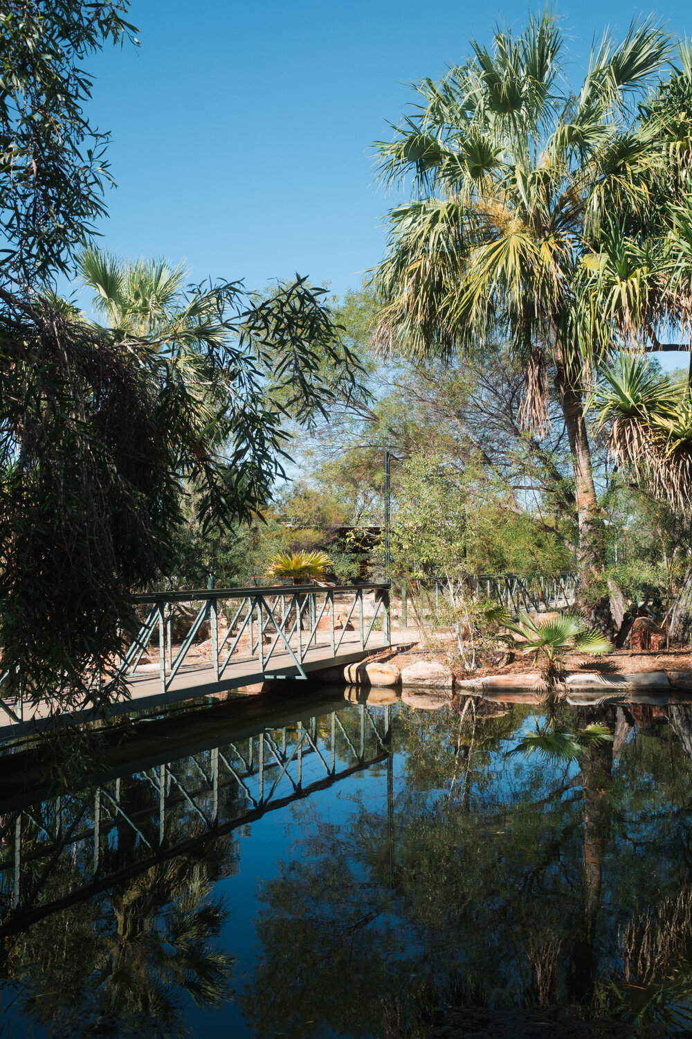 Native botanical garden, Outback at Isa, August 2024