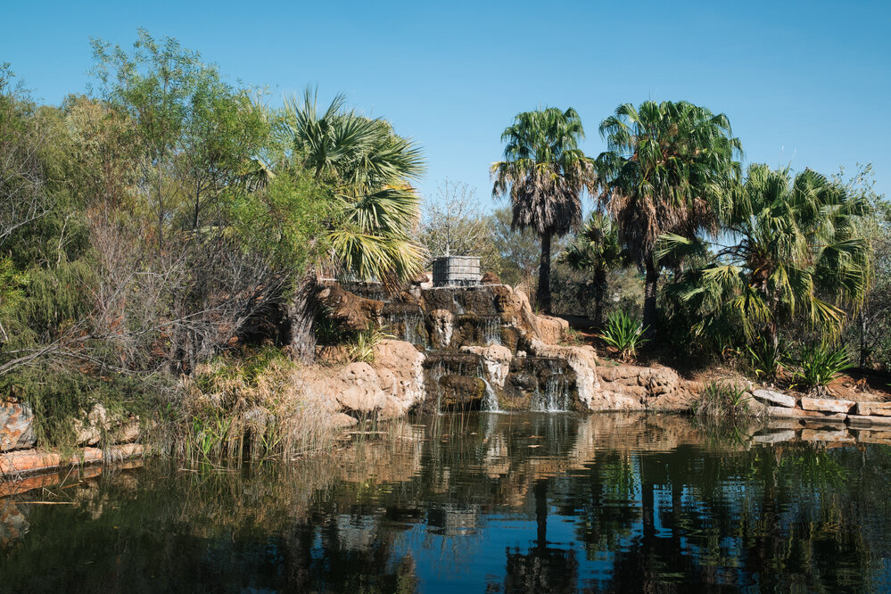 Native botanical garden, Outback at Isa, August 2024