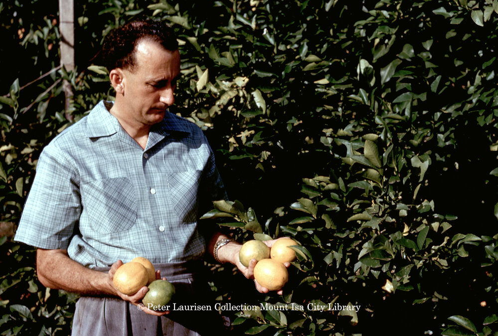 Home grown fruits in Mount Isa, c.1956