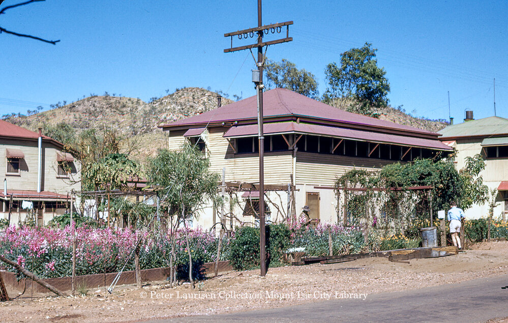 Home garden, August 1953