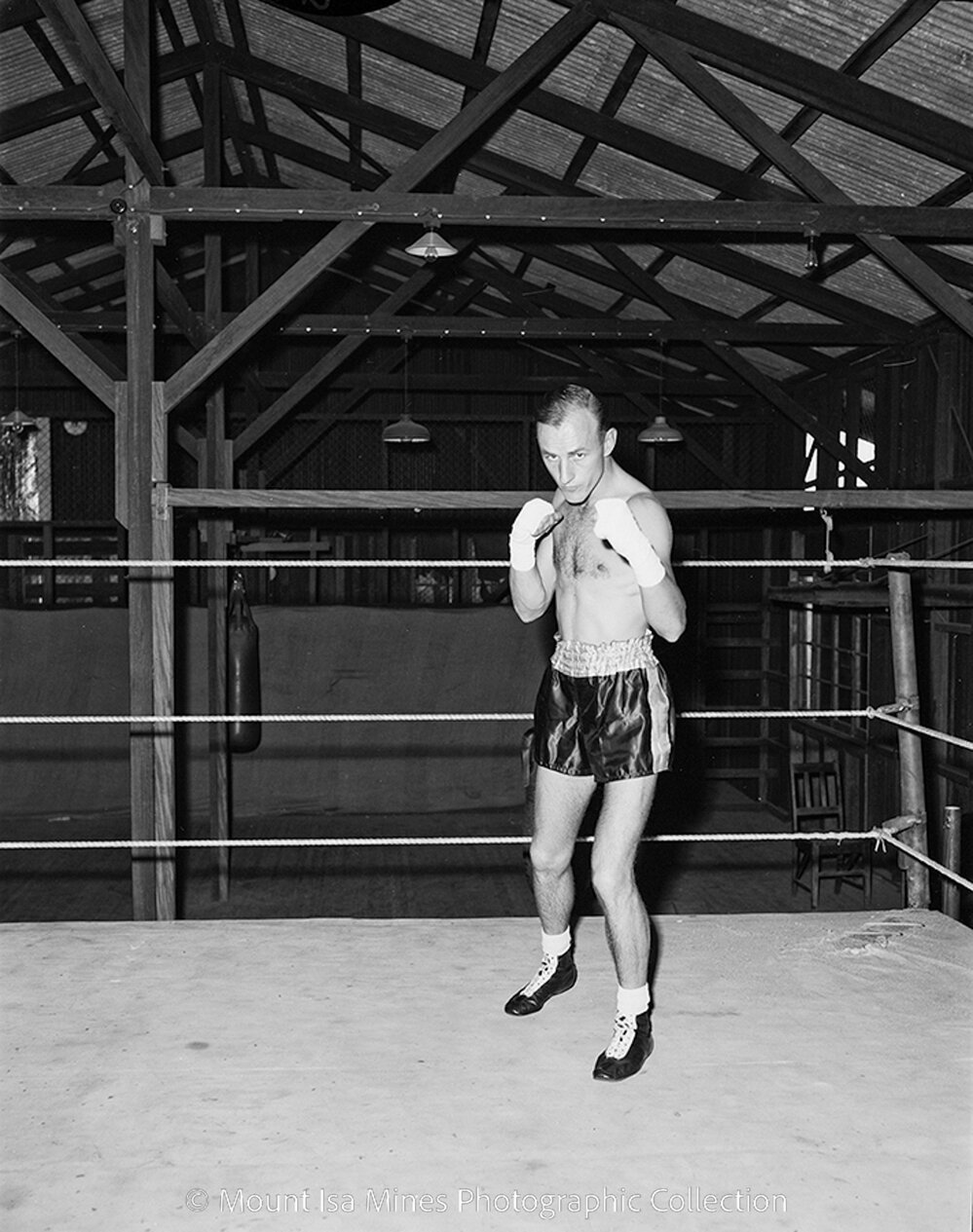 Boxer for poster, May 1959