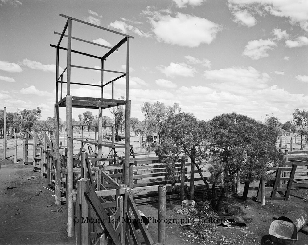 Erection of Mount Isa Rotary Rodeo compound, Spear Creek, September 1959