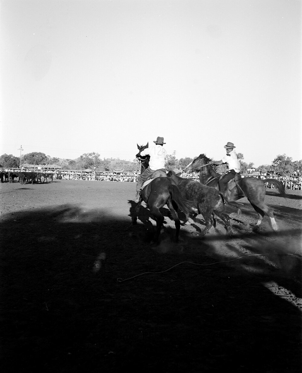 Mount Isa Rotary Rodeo Rough Riding, Spear Creek, September 1959