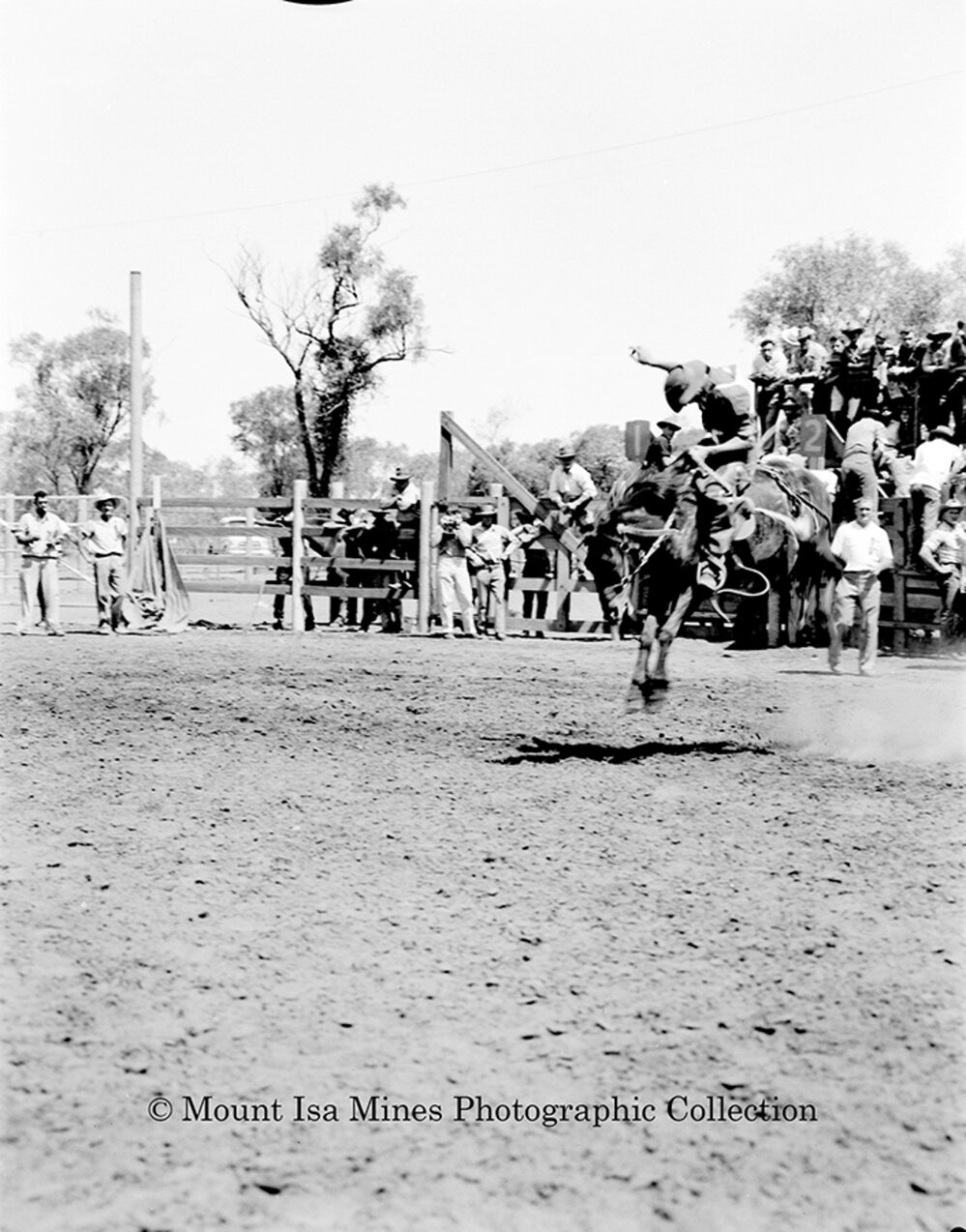 Mount Isa Rotary Rodeo Rough Riding, Spear Creek, September 1959
