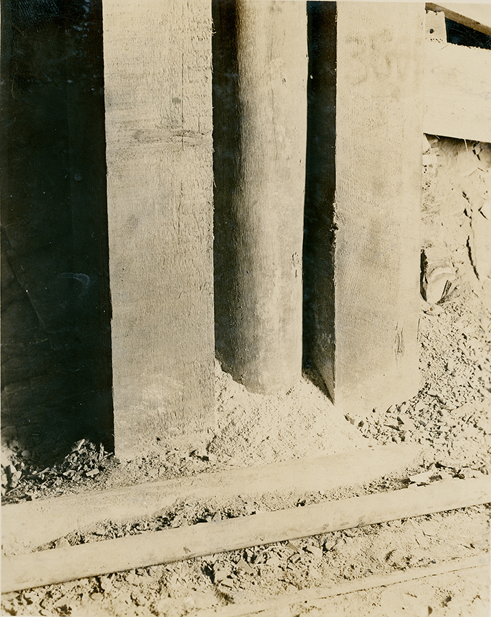 Borers in Carbeen Prop No 1 Level underground