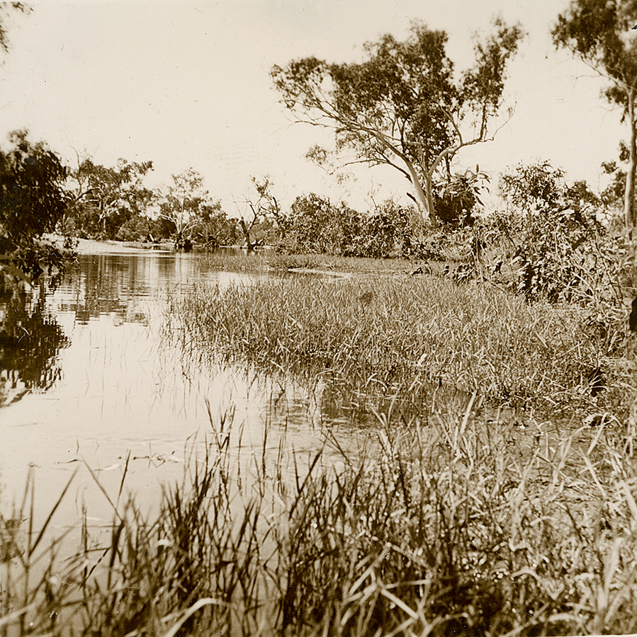 Leichhardt River 