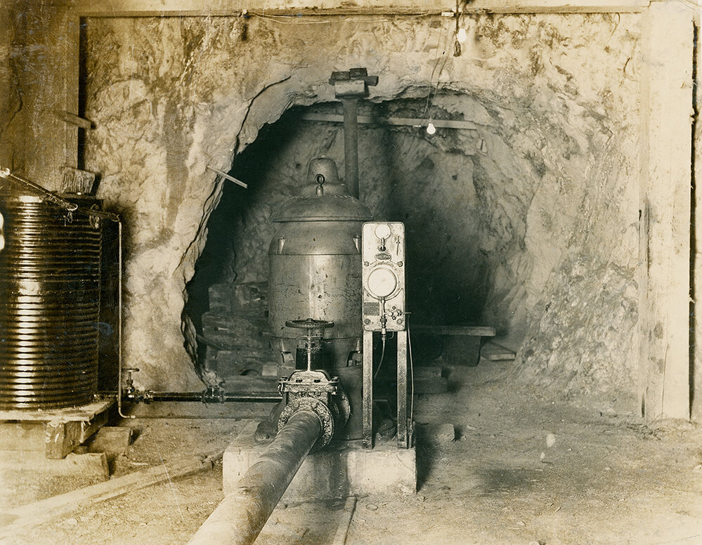 Pomona deep well pump