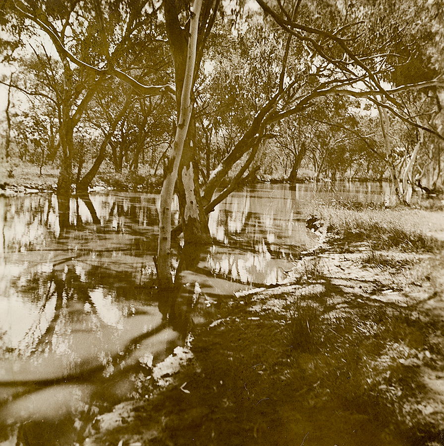 The Lagoons 