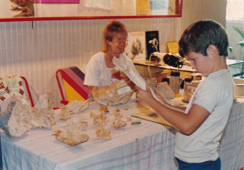 Riversleigh Fossil Discovery Centre, The Gap