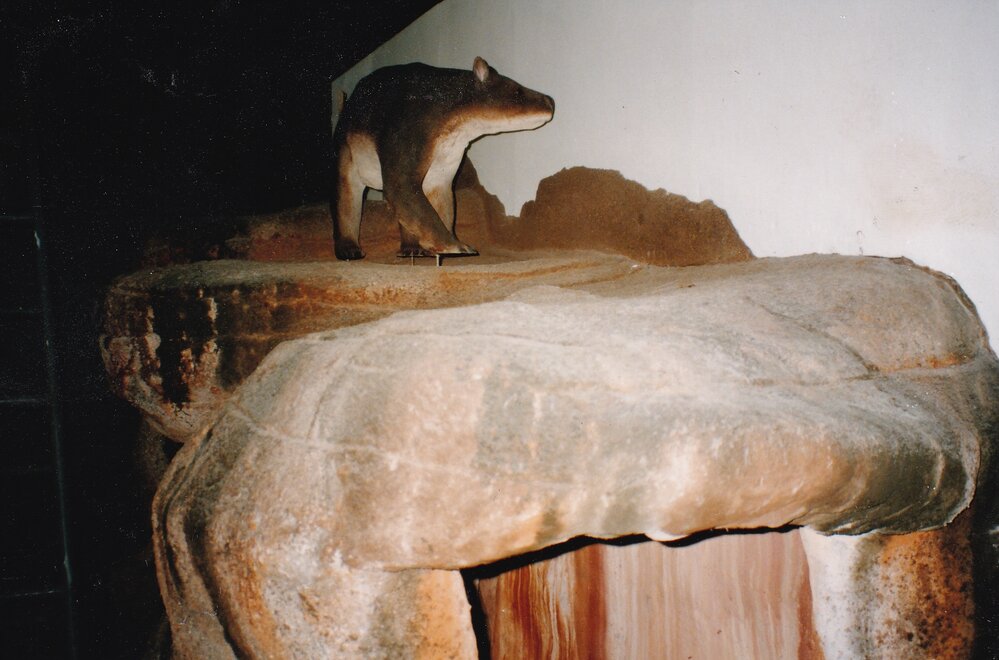 Diorama at Riversleigh Fossil Discovery Centre