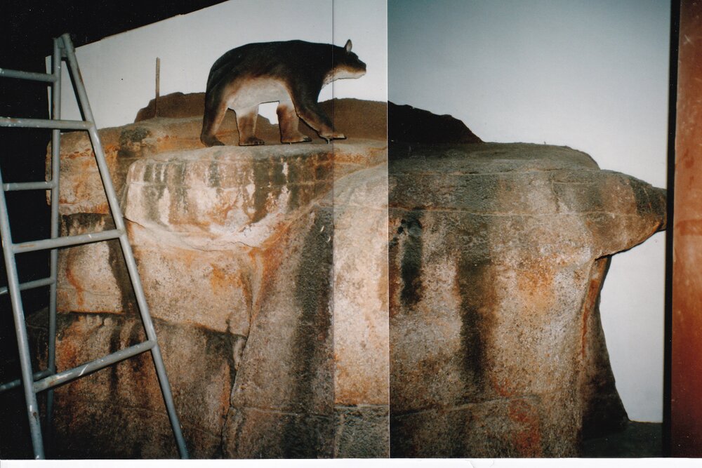 Diorama at Riversleigh Fossil Discovery Centre