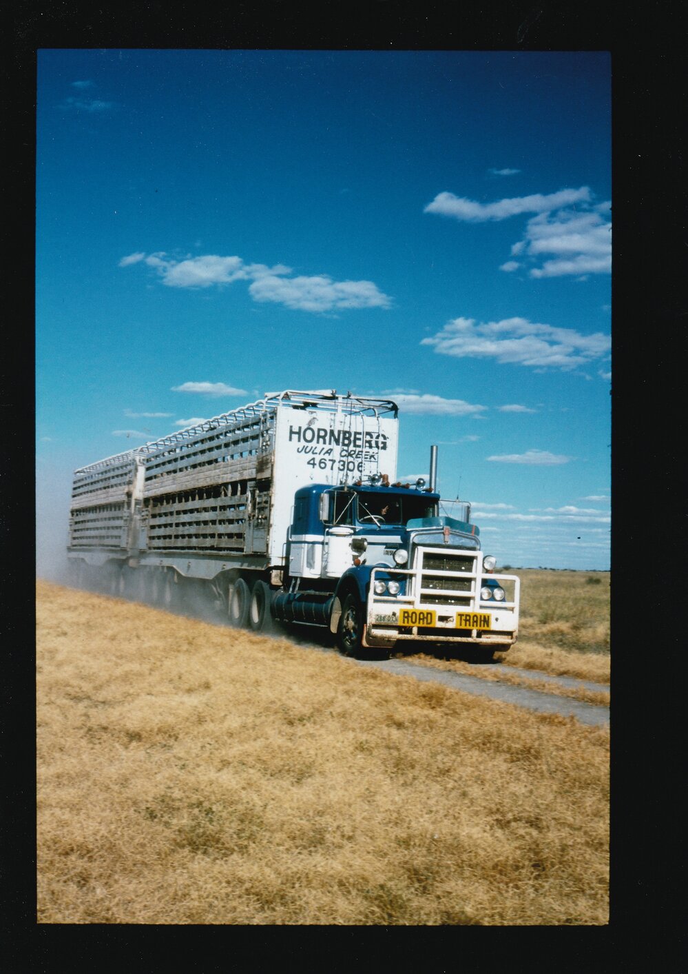 Hornberg cattle truck travelling along road