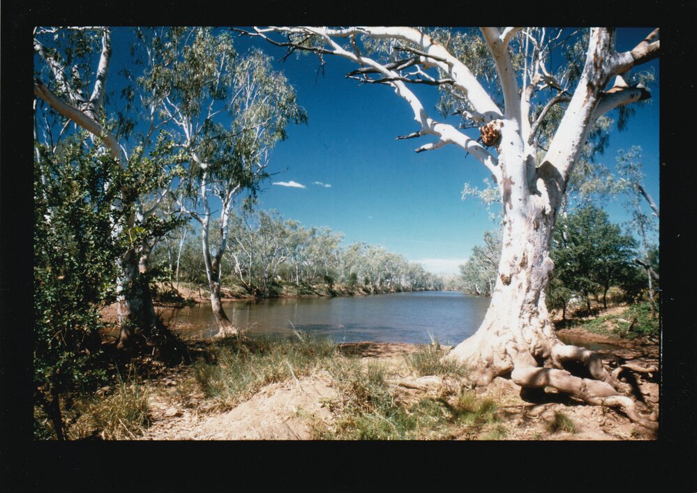 View over creek
