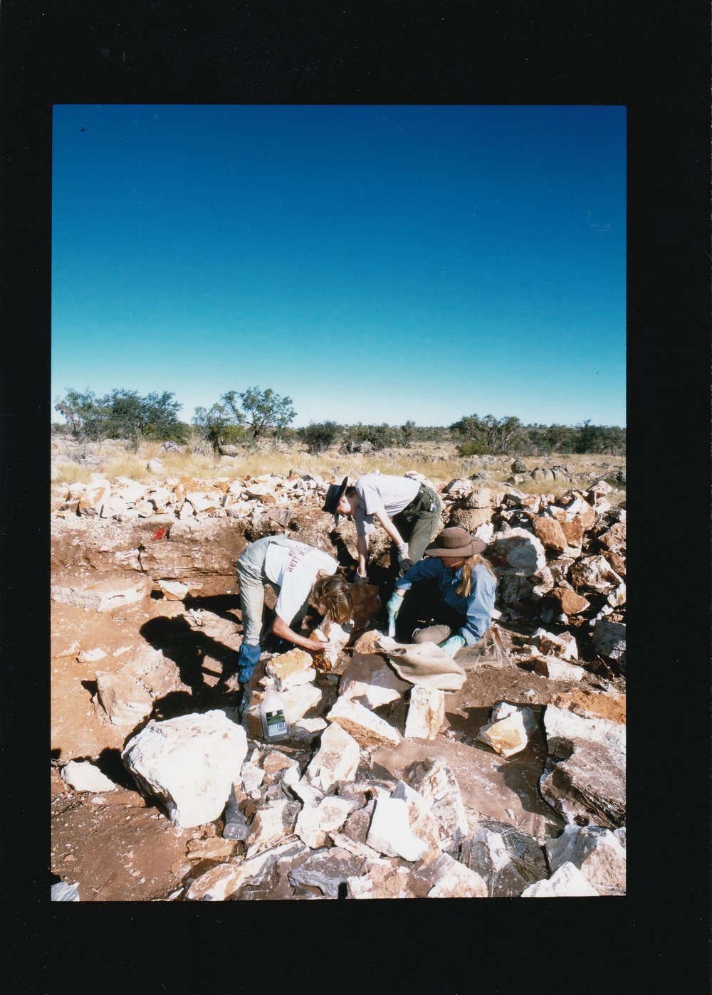 Group fossicking in outback