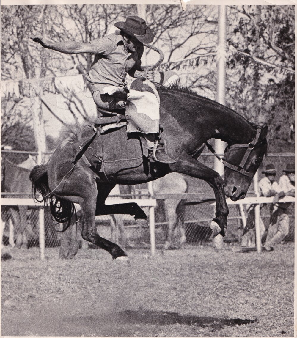 Cowboy riding bucking horse