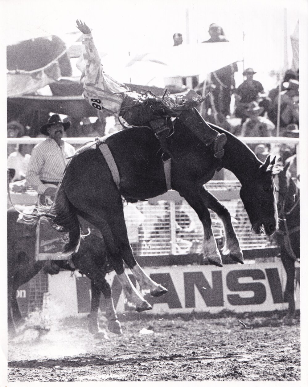 Cowboy riding bucking horse