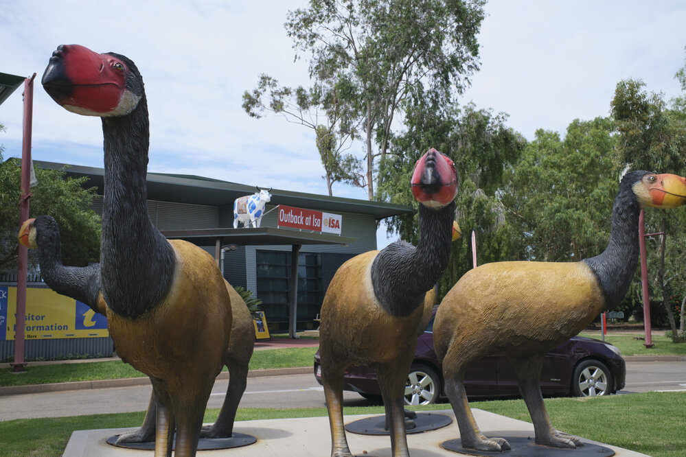 Dromornithids sculptures, Outback at Isa, January 2023