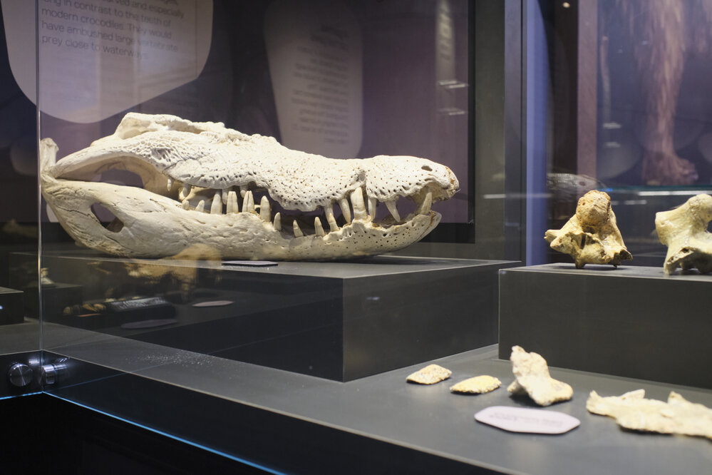 Riversleigh Fossil Discovery Centre, Outback at Isa, January 2023