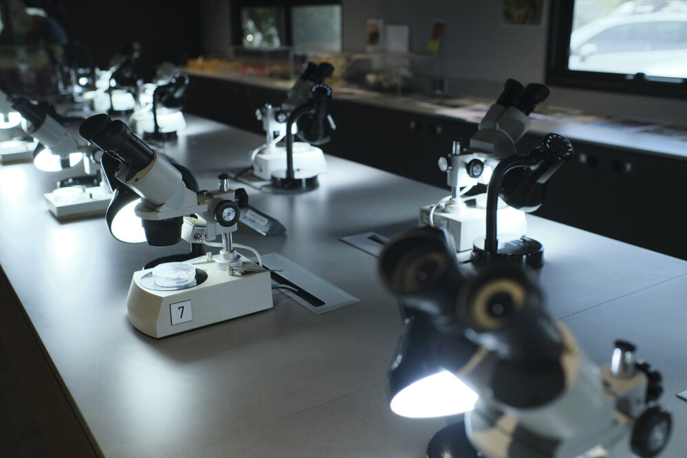 Riversleigh Fossil Discovery Centre, Outback at Isa, January 2023