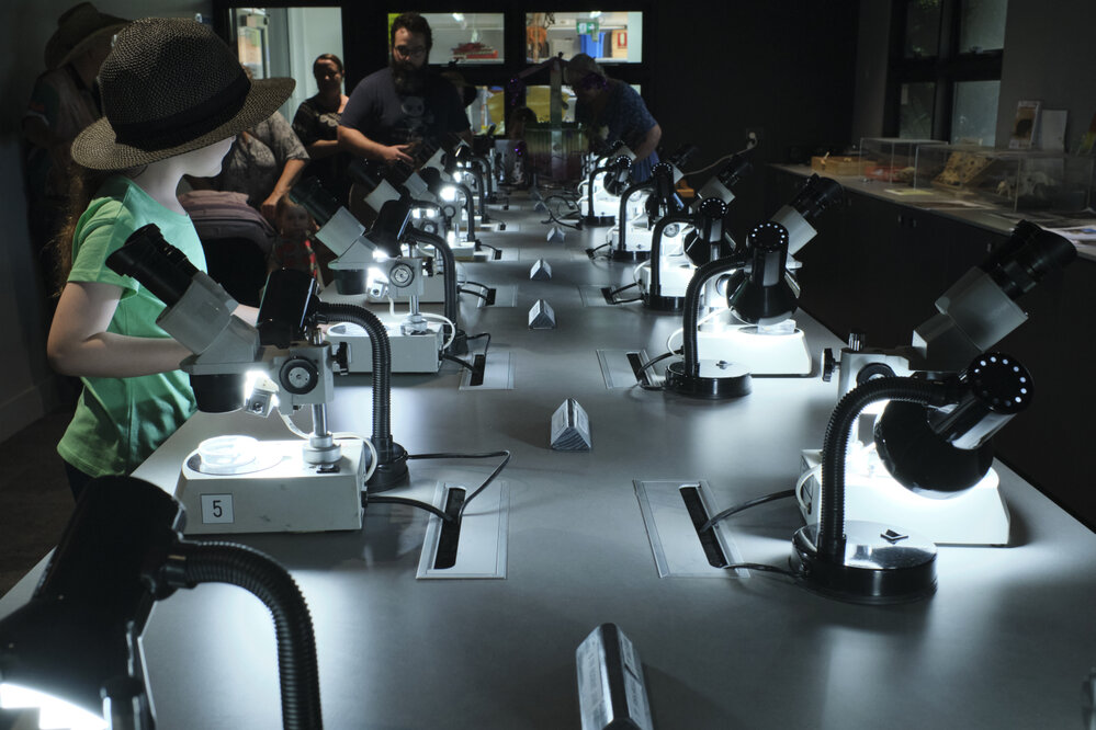 Riversleigh Fossil Discovery Centre, Outback at Isa, January 2023