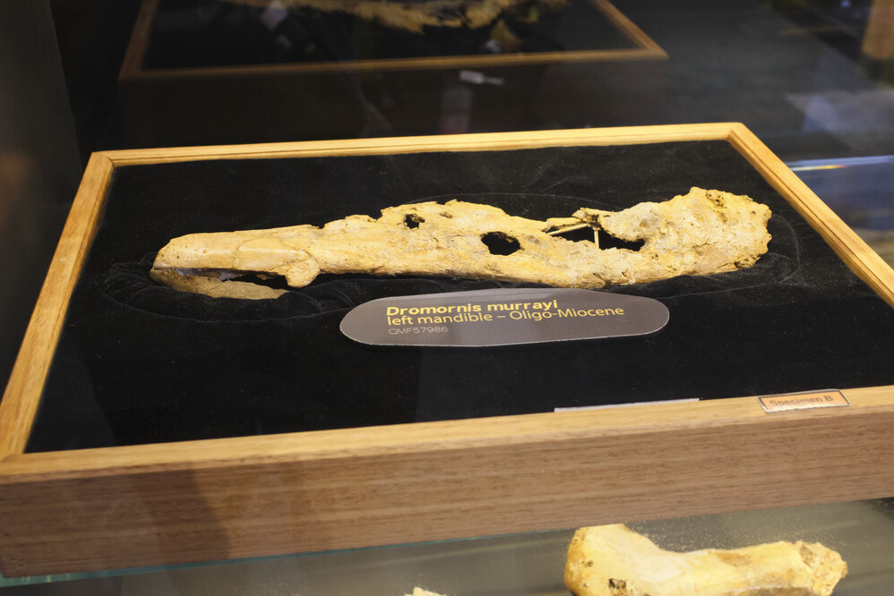 Riversleigh Fossil Discovery Centre, Outback at Isa, January 2023