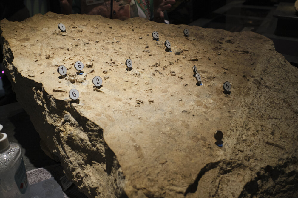 Riversleigh Fossil Discovery Centre, Outback at Isa, January 2023