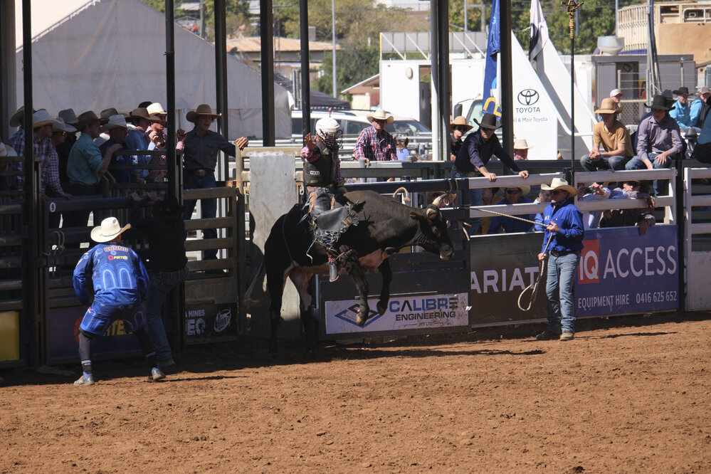 2nd Division Bull Ride, Mount Isa Mines Rodeo, August 2022