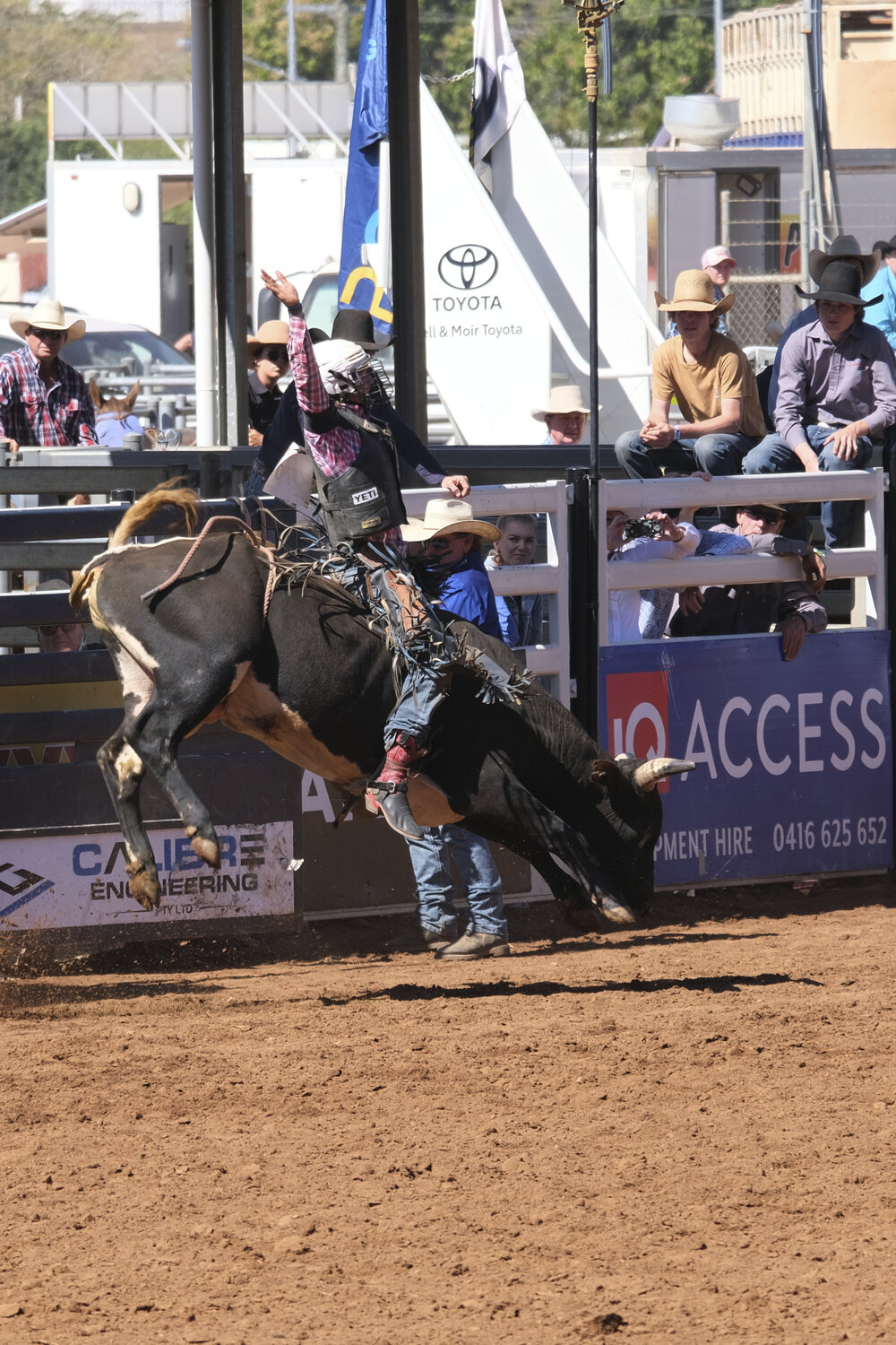 2nd Division Bull Ride, Mount Isa Mines Rodeo, August 2022