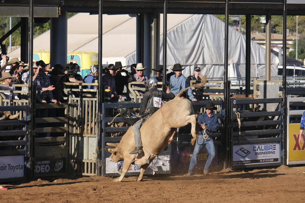 Bull Ride, Mount Isa Mines Rodeo, August 2022