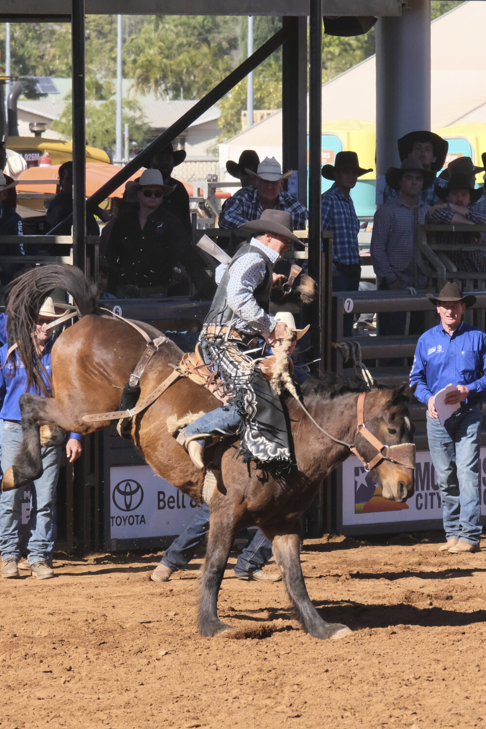 Saddle Bronc, Mount Isa Mines Rodeo, August 2022