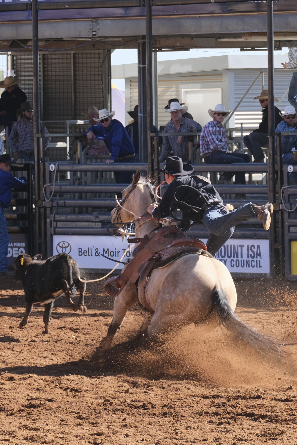 Rope &amp; Tie, Mount Isa Mines Rodeo, August 2022