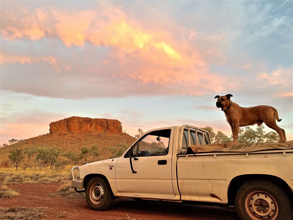 Amethyst Castle, Selwyn, June 2015