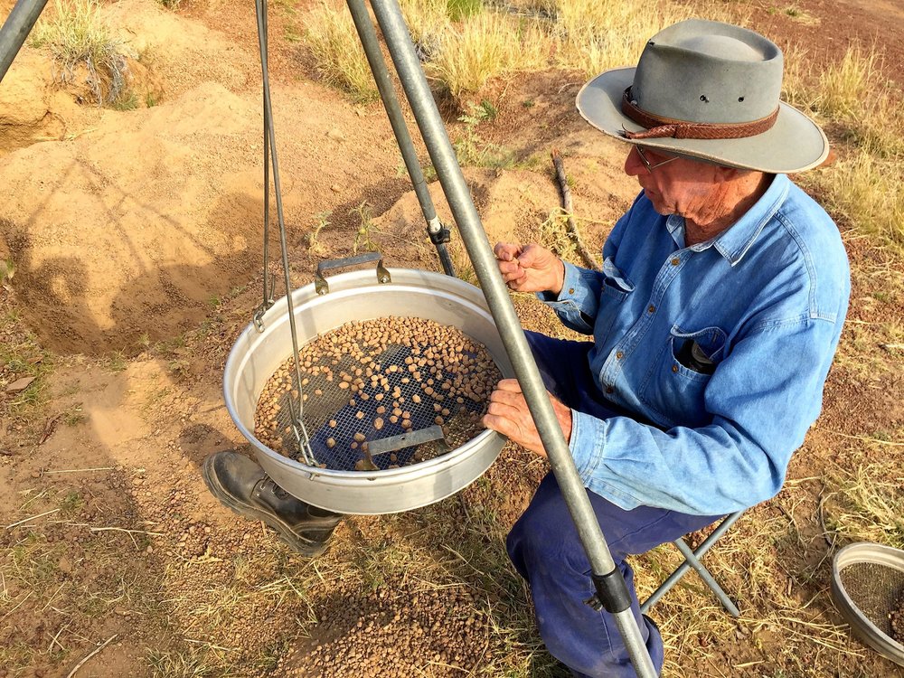 Lapidary Club member sorting Maltese Crosses, September 2018