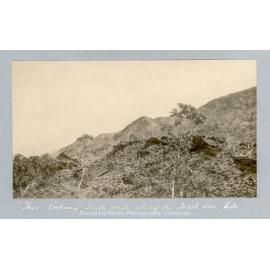 Ibus outcrop, Mount Isa Mines