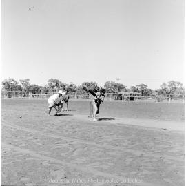 Men versus womens cricket match, Spear Creek, October 1959