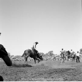 Mount Isa Rotary Rodeo, Spear Creek, September 1959