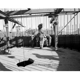 New Copper Stack under construction, Mount Isa Mines, September 1959