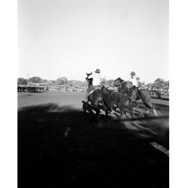 Mount Isa Rotary Rodeo Rough Riding, Spear Creek, September 1959