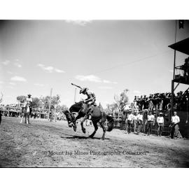 Mount Isa Rotary Rodeo Rough Riding, Spear Creek, September 1959