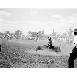 Mount Isa Rotary Rodeo Rough Riding, Spear Creek, September 1959
