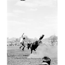 Mount Isa Rotary Rodeo Rough Riding, Spear Creek, September 1959