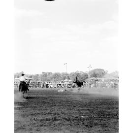 Mount Isa Rotary Rodeo Rough Riding, Spear Creek, September 1959